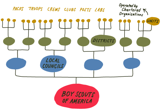 organization chart of boy scouts of america